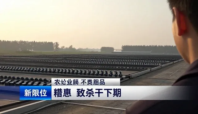 如何在销售场景中实现费用透明化管理